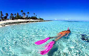Fidschi Urlaub Welche Insel
