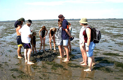 Ostfriesland - Wattenmeer - Wattwanderung - Bildquelle: AG Nordsee Schleswig-Holstein Tourismus-Zentrale St. Peter-Ording