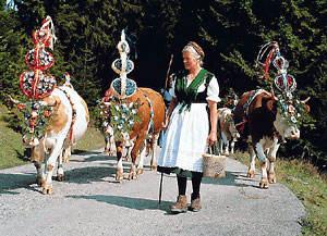 Berchtesgadener Land - Brauchtum - Almabtrieb