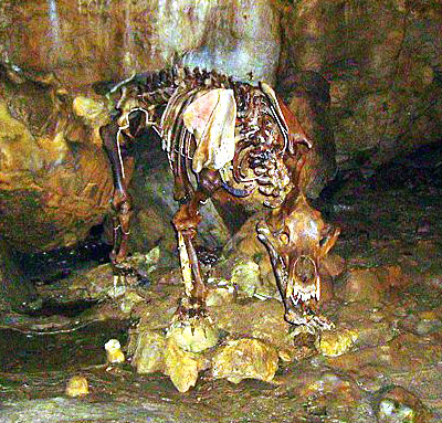 Schwbische Alb - Bärenhöhle