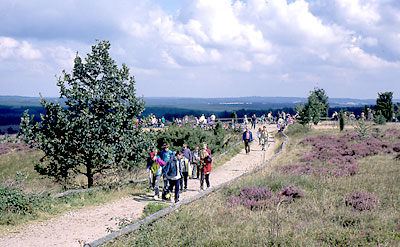 Wandern in der Lüneburger Heide