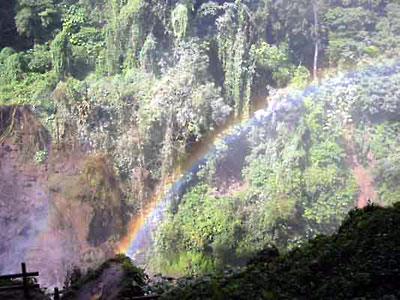 Pena Blanca