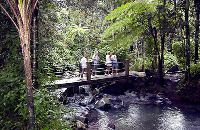 Puerto Rico - Regenwald El Yunque