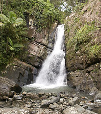Puerto Rico - Naturpark El Yunque