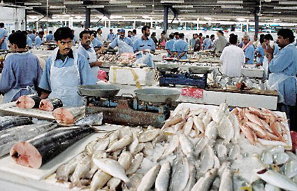 Fische im Souk © Department of Tourism & Commerce Marketing