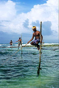 Sri Lanka - Fischer