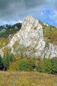 Schwäbische Alb - Geologie - Stiegelesfels