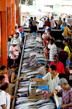Seychellen - Fischmarkt © photo courtesy Gerard Larose - Seychelles Tourism Board