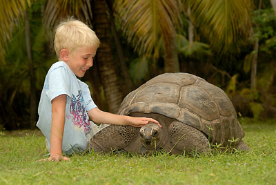 Seychellen - Junge mit Schildkröte © photo courtesy Raymond Sahuquet - Seychelles Tourism Board